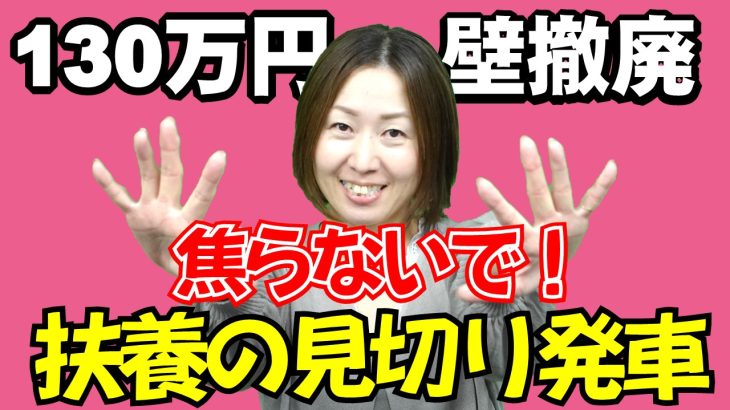 焦らないで！【130万円の壁撤廃】見切り発車は要注意